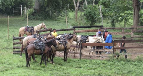 Cavalcata nella giungla dei Maya