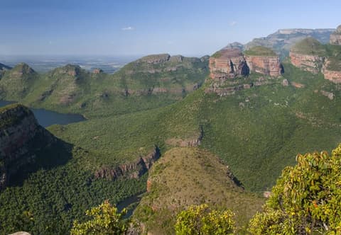 The South African Dream