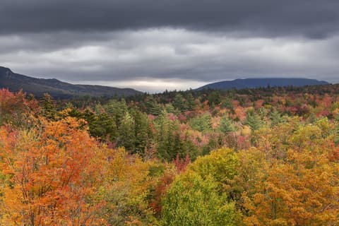 Colors of New England