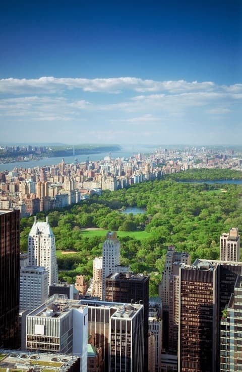 Nueva York En Compañía