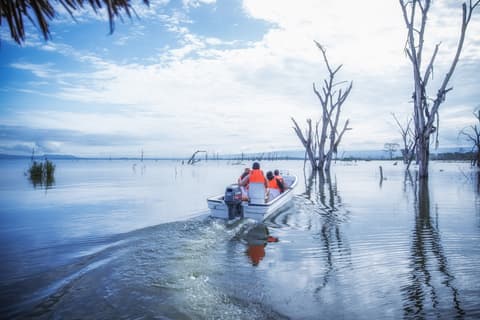 Safari Pamoja e Mare