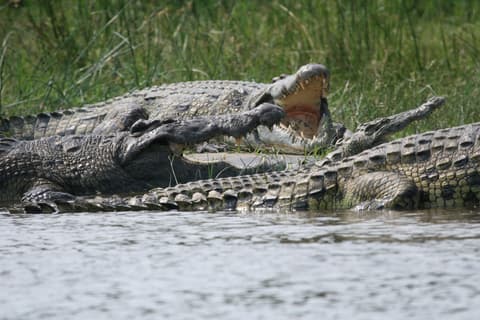 Maravillas de Uganda