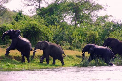 Maravillas de Uganda