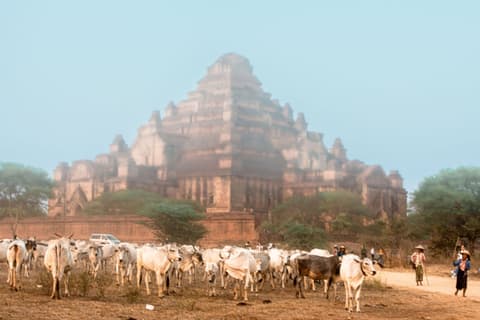 Destacados De Myanmar