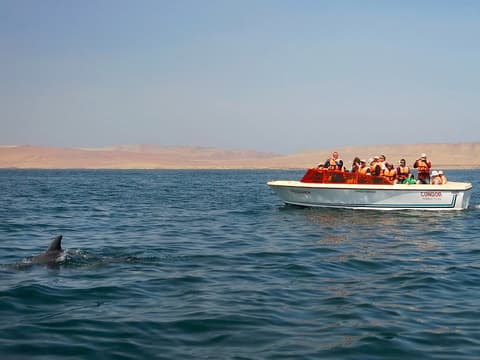 Antiguas Culturas del Perú