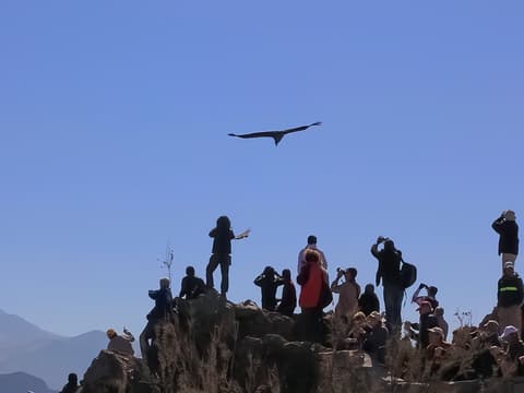 Travesía en el Circuito Sur