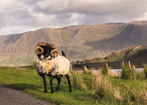 Leyendas Celtas: Irlanda y Escocia entre Acantilados y Castillos