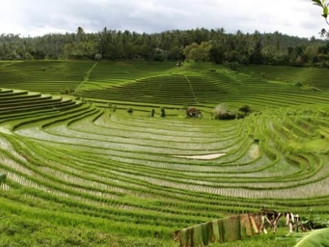 Classico Bali da Ubud - Privato