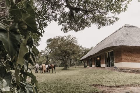 SAFARI A CAVALLO NEL MATABELELAND
