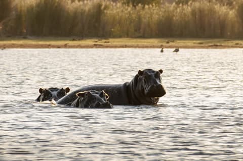 SAFARI A CAVALLO NEL MATABELELAND