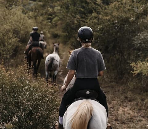 SAFARI A CAVALLO NEL MATABELELAND