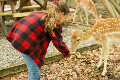 Fenêtre sur l'Est Canadien