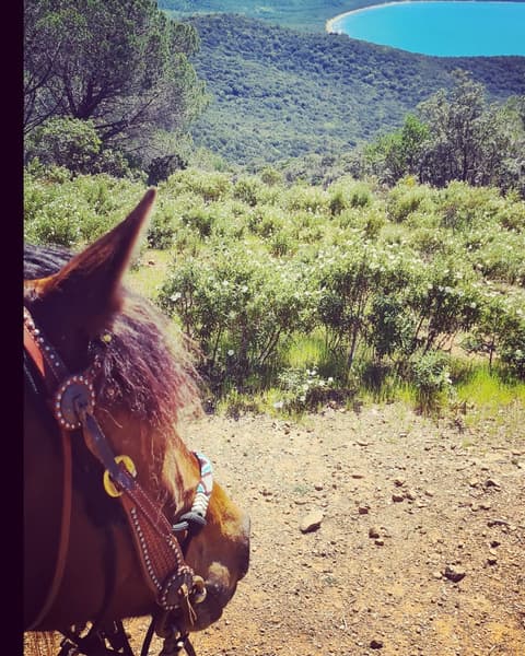 TUSCANY: CALA VIOLINA NATURAL RESERVE
