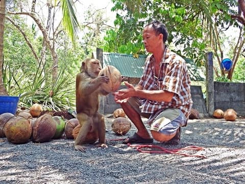 2 Nights in Khao Sok national park leaving from Phuket