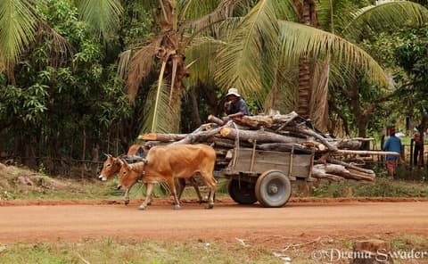 Siem Reap, Battambang y Phnom Penh 7 Días - Salida el Lunes