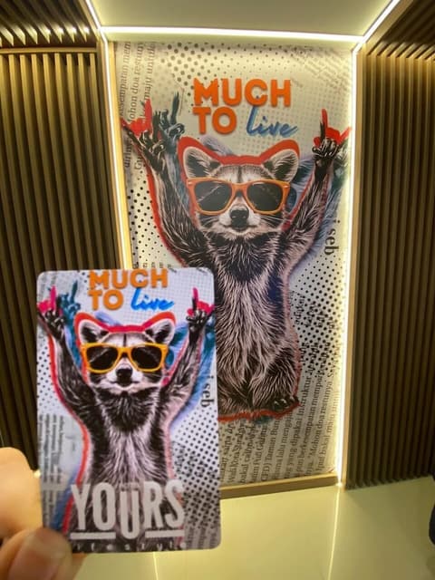 Hotel America, GENERAL