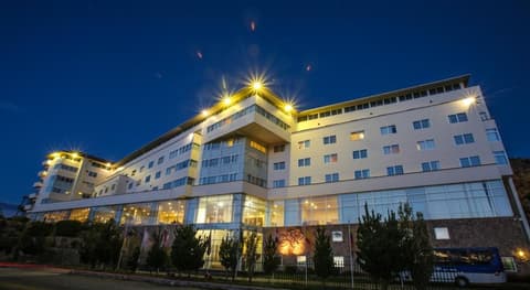 José Antonio Puno, HOTEL