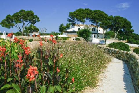 Rural Binigaus Vell, ENVIRONMENT