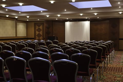 Renartiss Isaakiy St. Petersburg, CONFERENCE