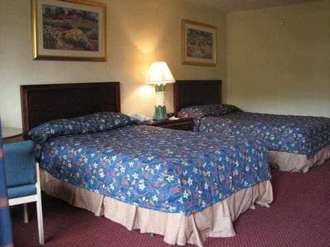 GreenPoint Hotel Kissimmee, ROOM