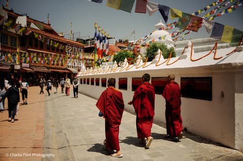 Into Nepal: Walks & Wildlife