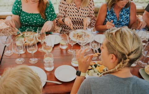 Highlights of South Africa's Winelands