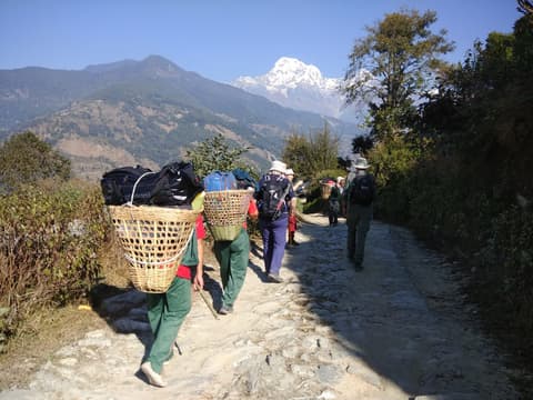 Into Nepal: Walks & Wildlife