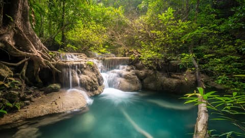 Treasures of Northern Thailand