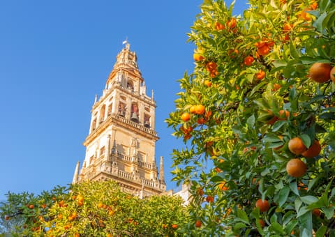 Three Cities of Andalucia