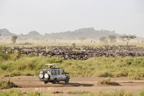 Tanzania Safari Adventure