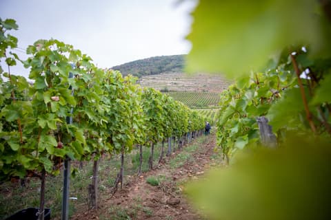 Budapest to Istanbul Adventure