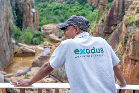 Essential Kruger Safari