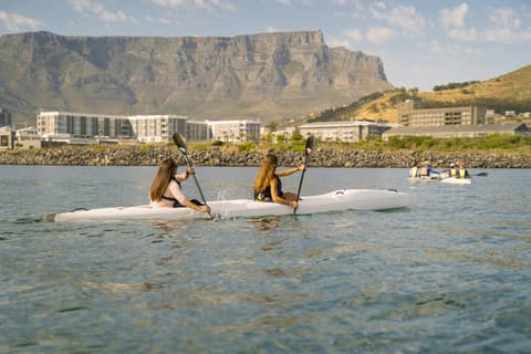 Highlights of South Africa's Winelands