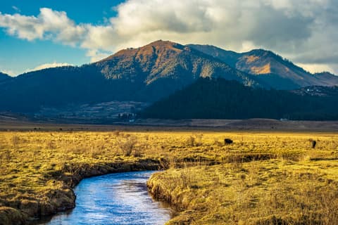Festivals of Bhutan – Black Crane