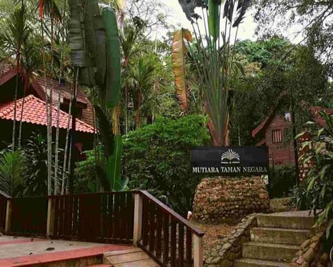 Kurztour "Taman Negara Jungle Experience"