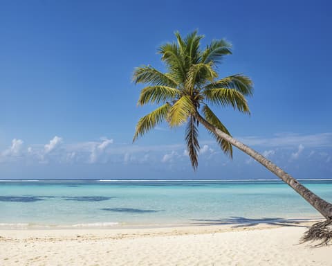 MTPE-51014 VIVE VARADERO (4 NOCHES)