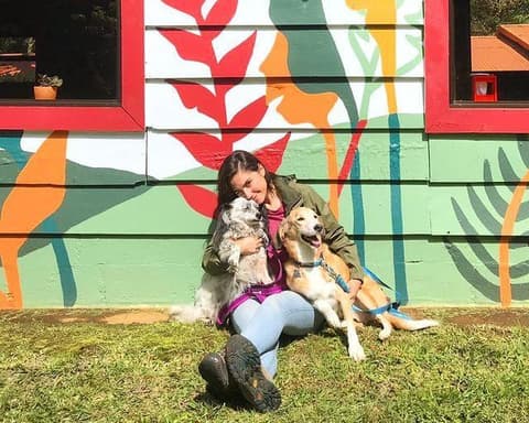 SELINA COLIVE FLEX - LATINOAMERICA