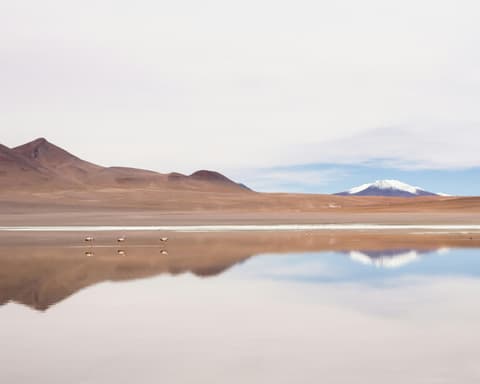 Kurztour "Salar de Uyuni" ab Uyuni bis San Pedro de Atacama