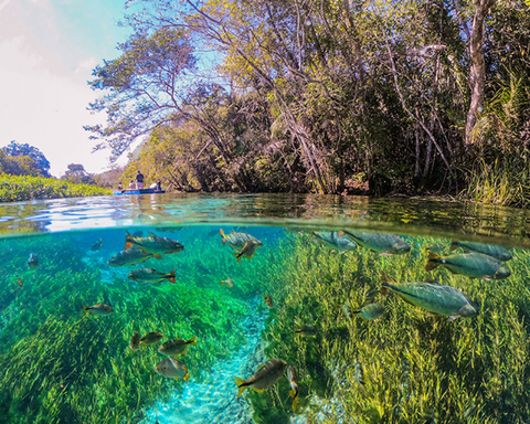 ¡Este año nuevo tu corazón latirá BONITO!
