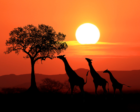 EXPLORE SUDAFRICA Perle Sudafricane