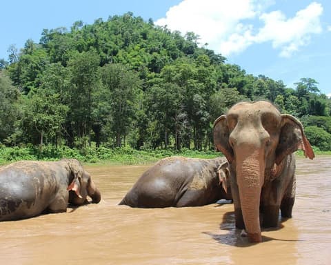 Rundreise "Die Höhepunkte Thailands"