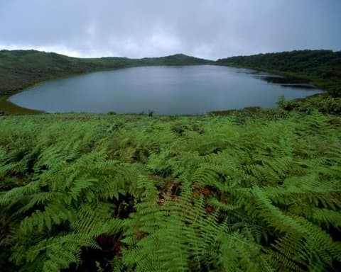  Quito & San Cristóbal - Galápagos
