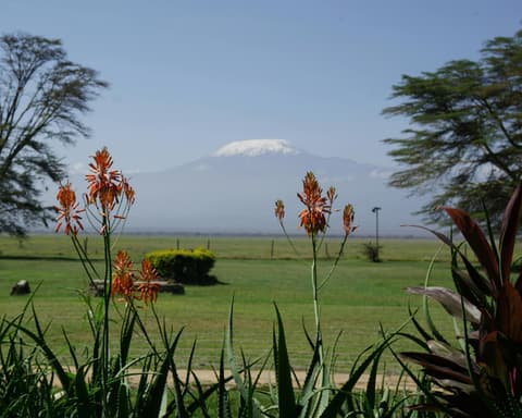 Safari "8 Tage Safari Abenteuer" (ab/bis Mombasa)