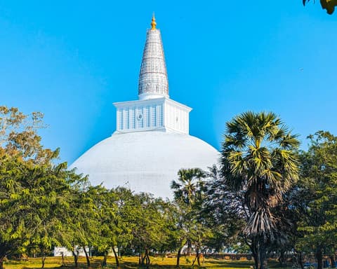 Privatrundreise "Der unberührte Norden Sri Lankas"