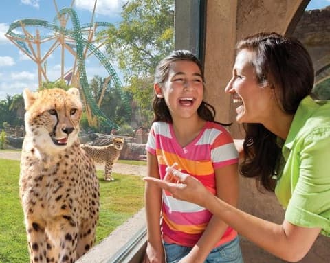 DIVERSIÓN EN ORLANDO & UNIVERSAL