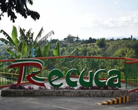 CLASSIC EJE CAFETERO 3N4D