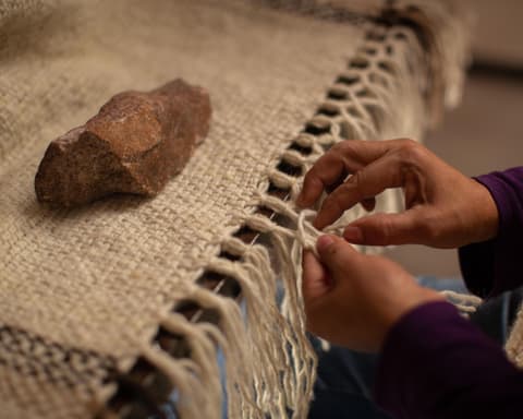 Programa Catamarca: Puna