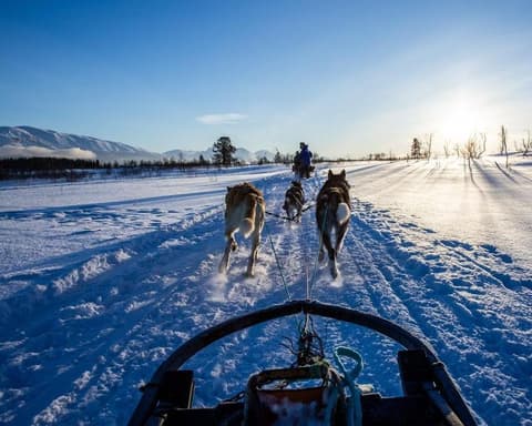 Auroras Boreales en Yukón (Días 4 al 7)