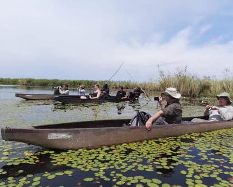 Camping Safari "16 Tage Botswana mit Viktoriafälle" (ab/bis Johannesburg)