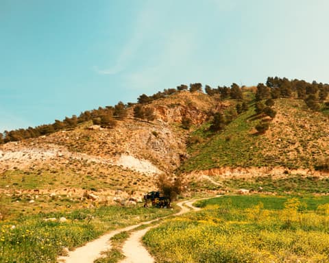 Randonnée en Jordanie : immersion et rencontres sur le "Jordan Trail"